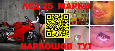 стафф Моздок