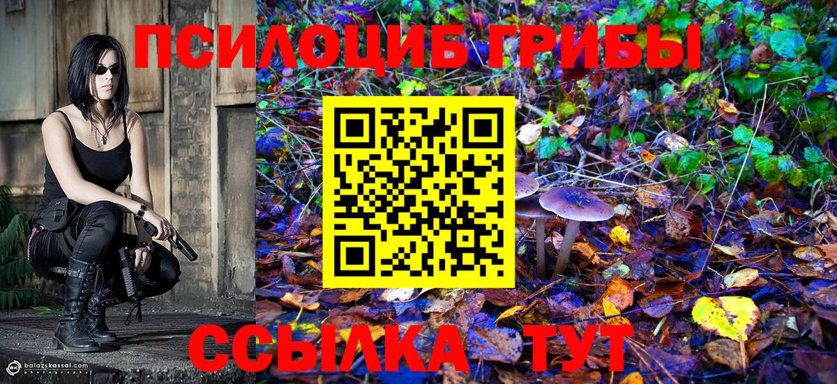 Галлюциногенные грибы GOLDEN TEACHER  Галлюциногенные грибы Cubensis  Вход с VPN  закладки  Владивосток 