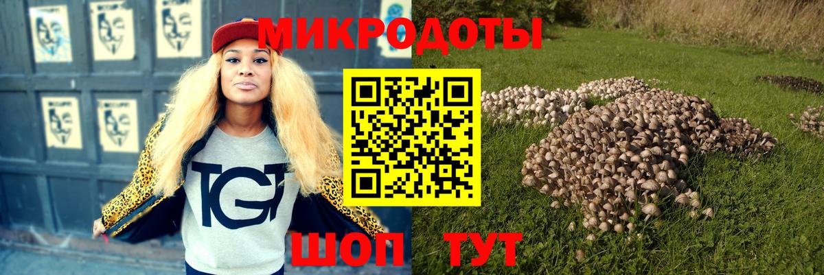 Галлюциногенные грибы Psilocybine cubensis Владивосток